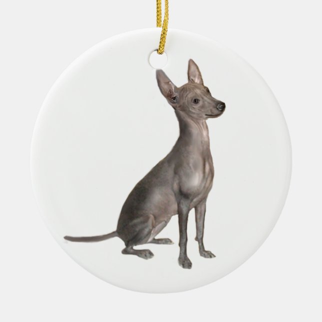 Xoloitcuintle (Xolo) (B) Ceramic Tree Decoration (Front)