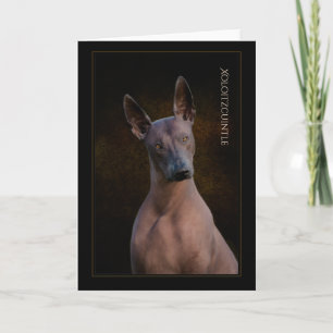 Xoloitzcuintli Greeting Card