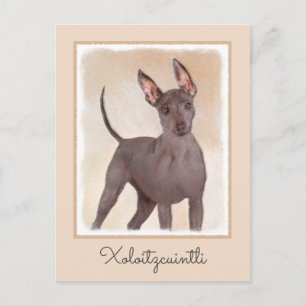 Xoloitzcuintli Painting - Cute Original Dog Art Postcard