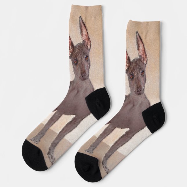 Xoloitzcuintli Painting - Cute Original Dog Art Socks (Left)