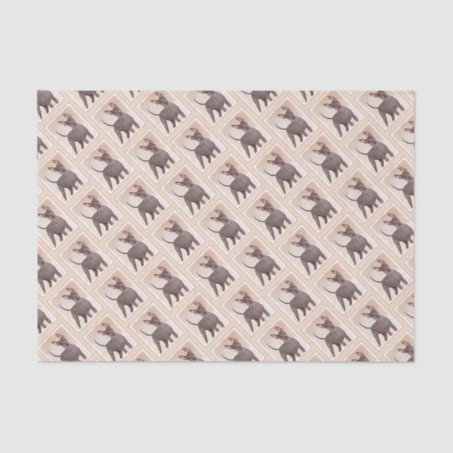 Xoloitzcuintli Painting - Cute Original Dog Art Tissue Paper (Front)