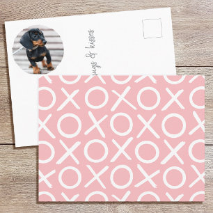 XOXO Brushstroke Custom Dog Photo Pink Modern Postcard