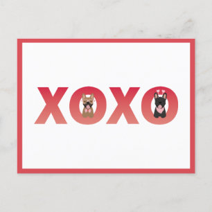 XOXO French Bulldogs Postcard