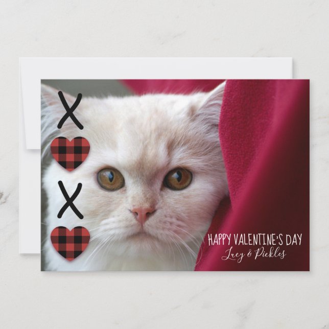 XOXO Plaid Valentine's Day Photo Holiday Card (Front)