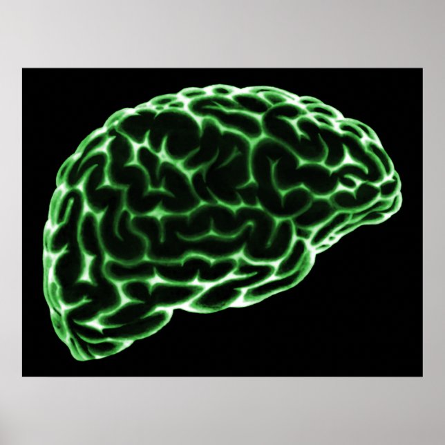 XRAY BRAIN SIDE VIEW GREEN POSTER (Front)