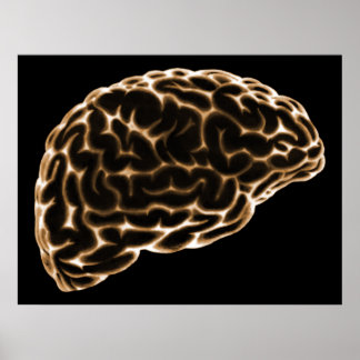 XRAY BRAIN SIDE VIEW ORANGE POSTER