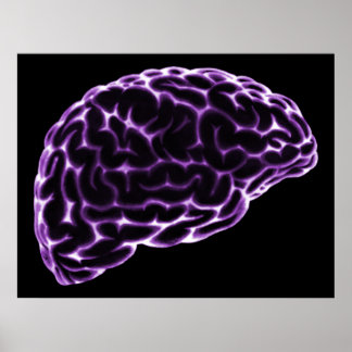 XRAY BRAIN SIDE VIEW PURPLE POSTER