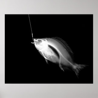 XRAY HOOK FISH BLACK WHITE POSTER