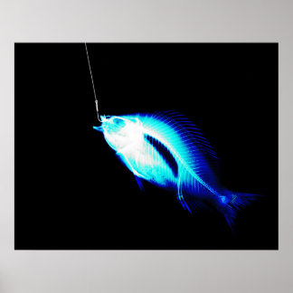 XRAY HOOK FISH NEON BLUE POSTER