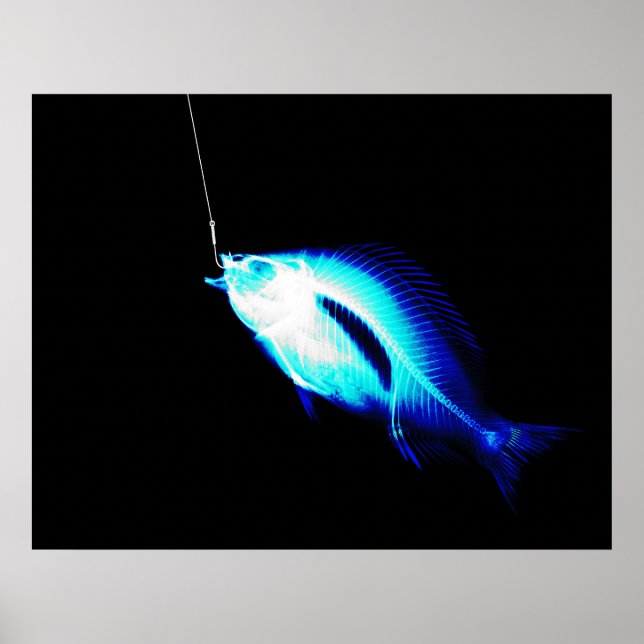 XRAY HOOK FISH NEON BLUE POSTER (Front)