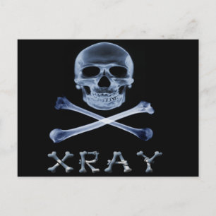 XRAY PIRATE Flag RADIOLOGY JOLLY ROGER Postcard