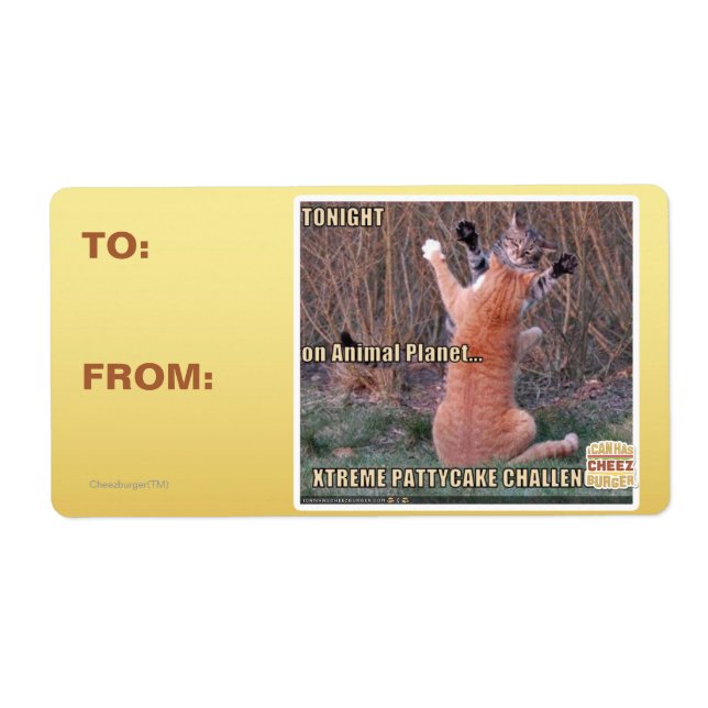 Xtreme PattyCake Challenge (Front)