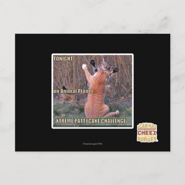 Xtreme PattyCake Challenge Postcard (Front)