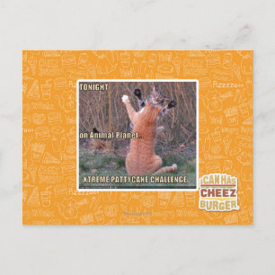 Xtreme PattyCake Challenge Postcard