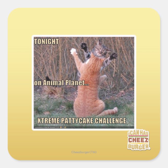 Xtreme PattyCake Challenge Square Sticker (Front)