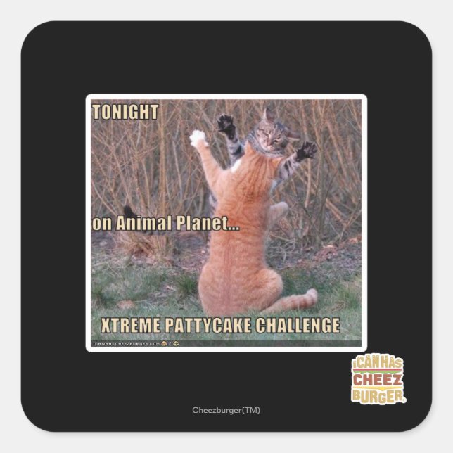 Xtreme PattyCake Challenge Square Sticker (Front)