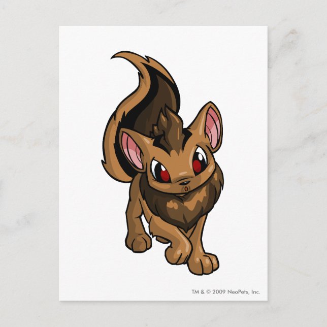 Xweetok Brown Postcard (Front)