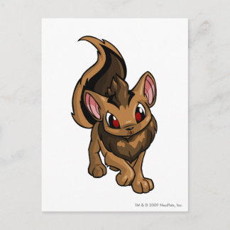Xweetok Brown Postcard