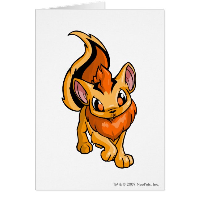 Xweetok Orange (Front)