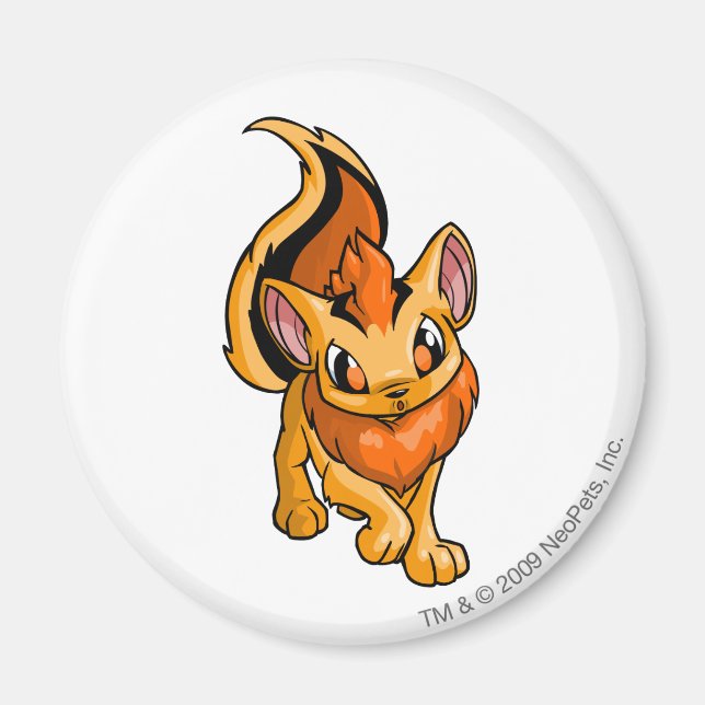 Xweetok Orange Magnet (Front)