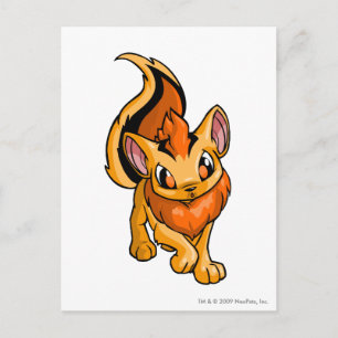 Xweetok Orange Postcard