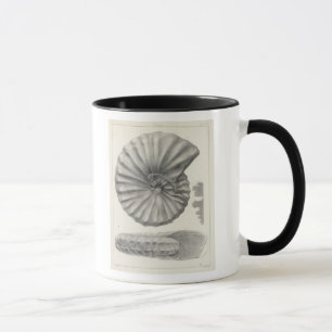 XX Cretaceous Mug