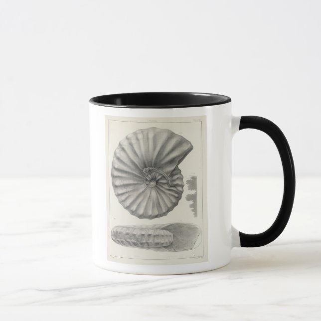 XX Cretaceous Mug (Right)