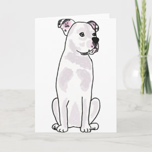 XX- Cute American Bulldog with Studded Collar Card