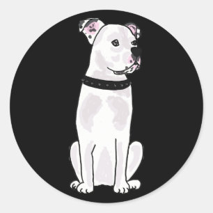 XX- Cute American Bulldog with Studded Collar Classic Round Sticker