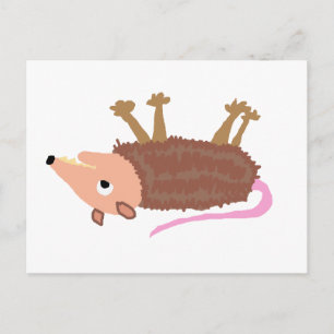 XX- Funny Dead Possum Roadkill Cartoon Postcard