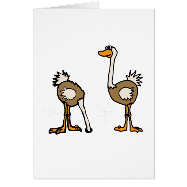 XX- Ostriches in Sand (Front)