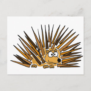 XX- Porcupine Art Cartoon Postcard