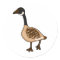 XX- Silly Goose Cartoon