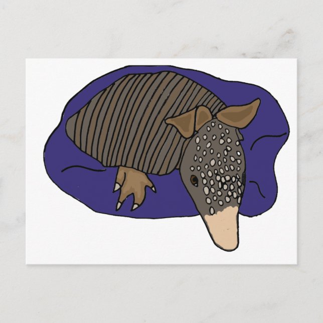 XY- Baby Armadillo on a Pillow Design Postcard (Front)