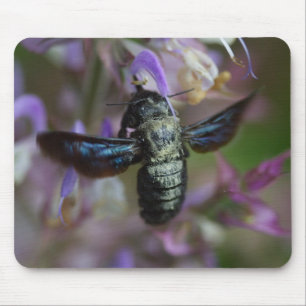 Xylocopa iris mouse mat