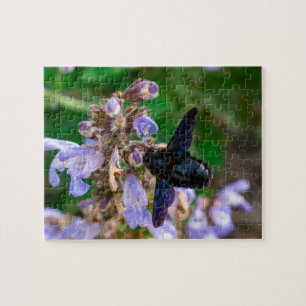 Xylocopa violacea jigsaw puzzle