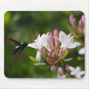 Xylocopa violacea mouse mat