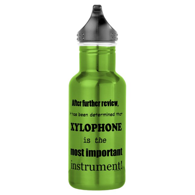 Xylophone Most Important Instrument 532 Ml Water Bottle (Right)