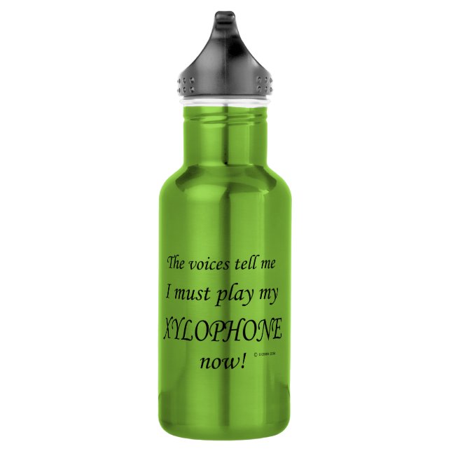 Xylophone Voices Say Must Play 532 Ml Water Bottle (Right)