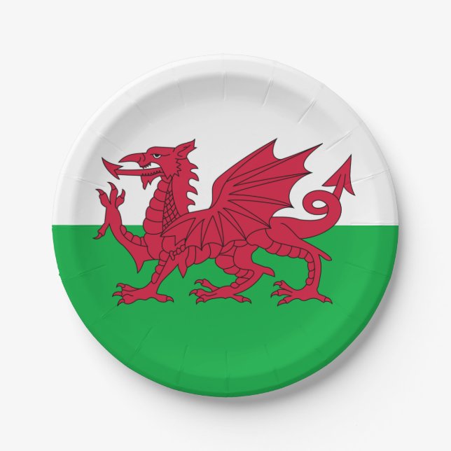 Y Ddraig Goch: Welsh Flag Paper Party Plate (Front)