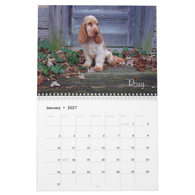 Y-Knot English Cocker Spaniel Calendar (Jan 2027)