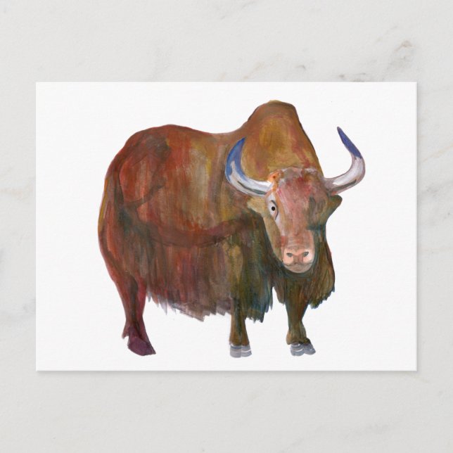 Y. Yak / carte postale Postcard (Front)