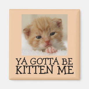 Ya gotta be Kitten me, Funny Cat Magnets