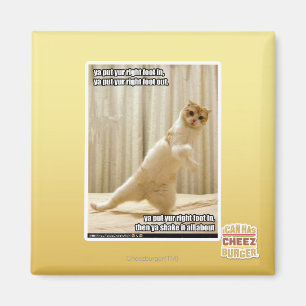 Ya put yur right foot in, ya put yur right foot ou magnet