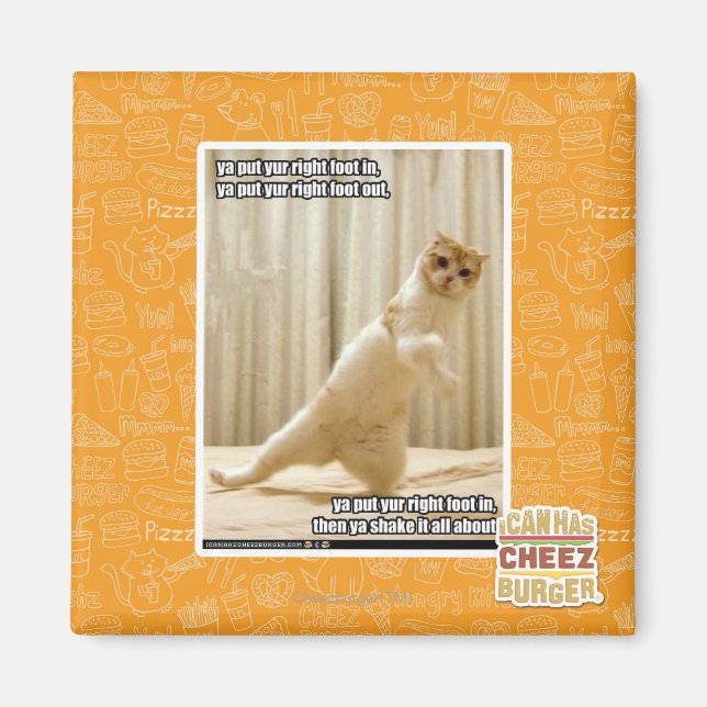 Ya put yur right foot in, ya put yur right foot ou magnet (Front)