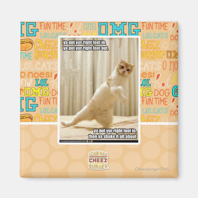 Ya put yur right foot in, ya put yur right foot ou magnet (Front)