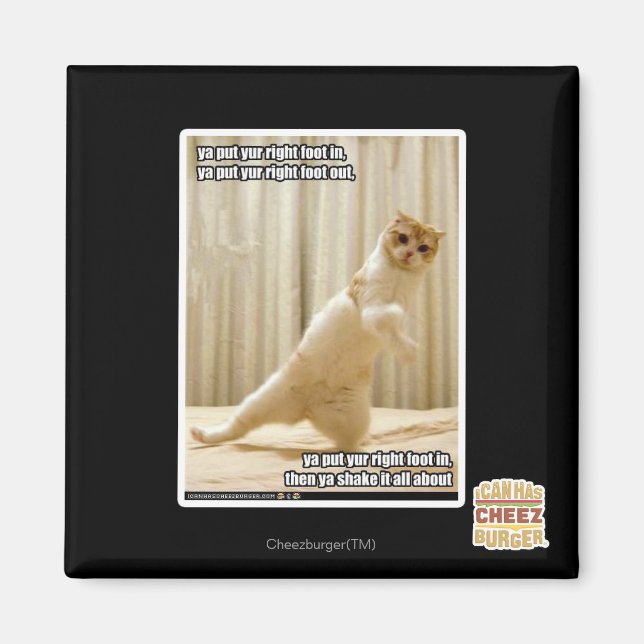 Ya put yur right foot in, ya put yur right foot ou magnet (Front)