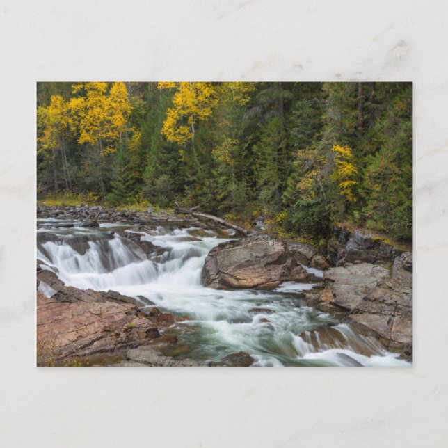 Yaak Falls In Autumn In The Kootenai National Postcard (Front)
