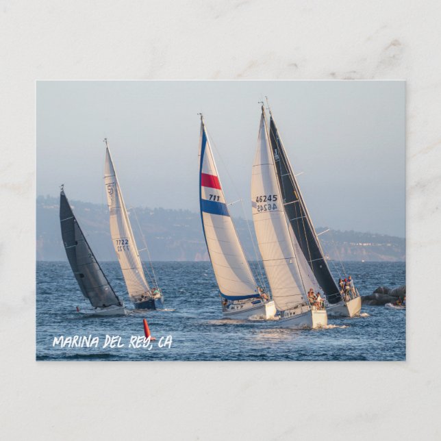 Yacht Race - Marina Del Rey, CA Postcard (Front)