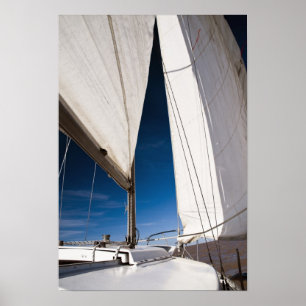 Yacht sails and sky poster